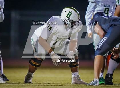 Thumbnail 2 in Basha @ Casteel photogallery.