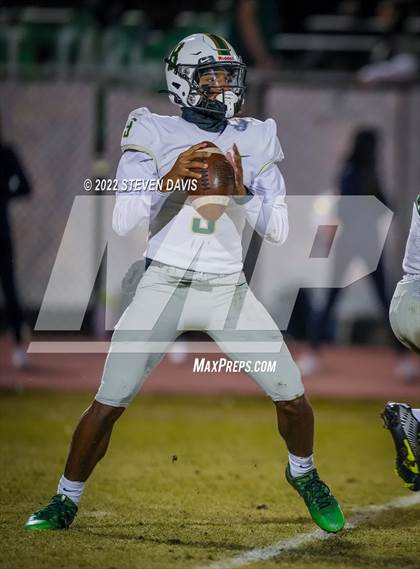 Thumbnail 3 in Basha @ Casteel photogallery.