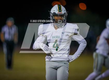 Thumbnail 1 in Basha @ Casteel photogallery.