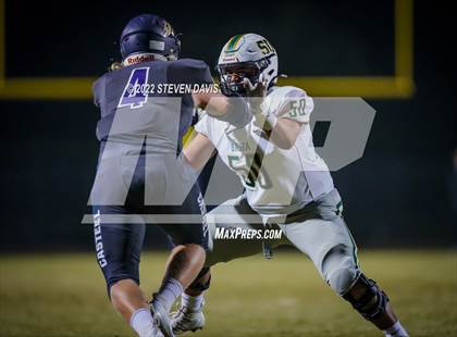 Thumbnail 2 in Basha @ Casteel photogallery.