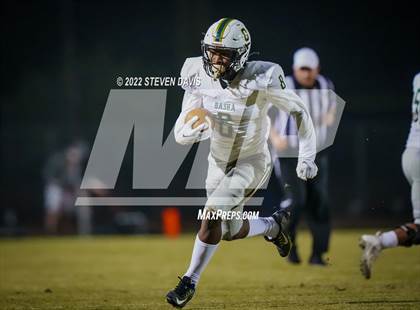 Thumbnail 3 in Basha @ Casteel photogallery.