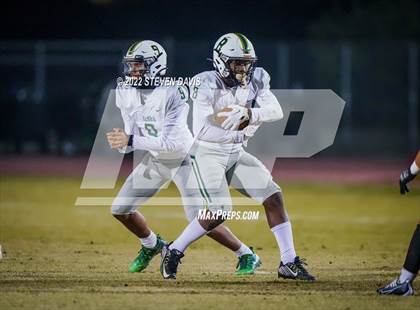 Thumbnail 2 in Basha @ Casteel photogallery.