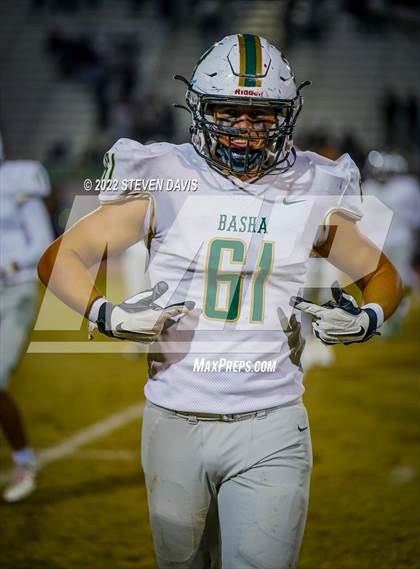 Thumbnail 3 in Basha @ Casteel photogallery.