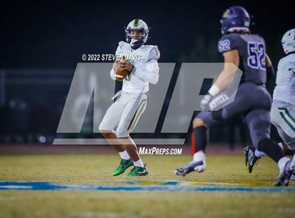 Thumbnail 1 in Basha @ Casteel photogallery.