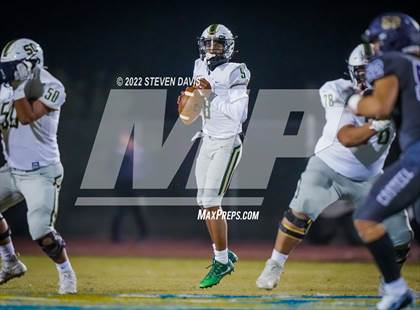 Thumbnail 3 in Basha @ Casteel photogallery.