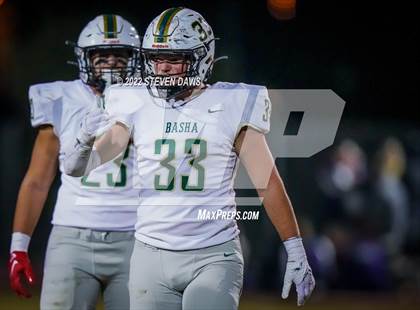 Thumbnail 1 in Basha @ Casteel photogallery.