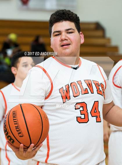 Thumbnail 3 in Inderkum @ Woodland photogallery.