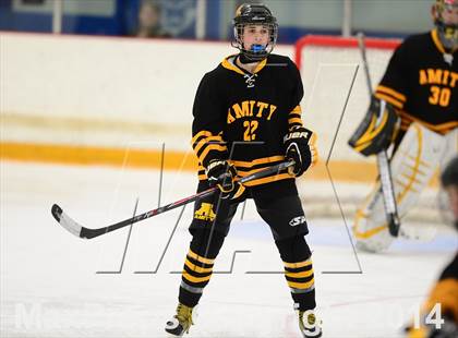 Thumbnail 3 in Amity Regional vs. North Haven (SCC-SWC DII Semifinal) photogallery.