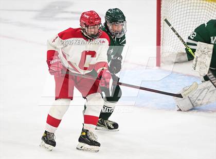 Thumbnail 3 in New Milford vs. Conard (CIAC DIII Semifinal) photogallery.