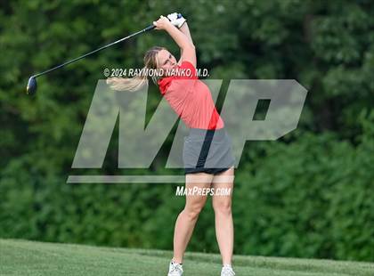 Thumbnail 1 in Wapahani 3 Way  photogallery.