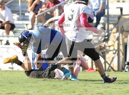 Thumbnail 3 in Hillsborough Baptist @ Hernando Christian Academy photogallery.