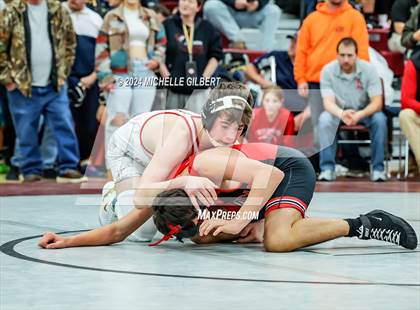 Thumbnail 1 in 2024 Byron-Bergen Invitational Tournament (morning) photogallery.