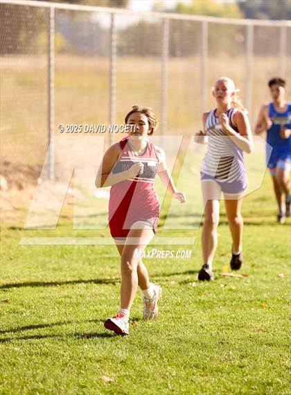 Thumbnail 1 in Southern League Meet photogallery.