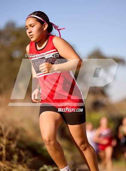 Thumbnail 1 in Southern League Meet photogallery.