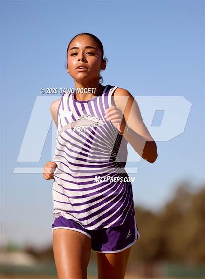 Thumbnail 1 in Southern League Meet photogallery.