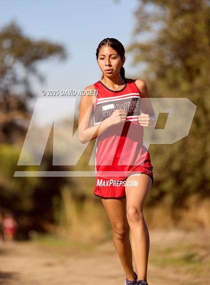 Thumbnail 2 in Southern League Meet photogallery.