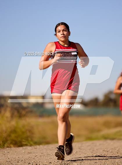 Thumbnail 1 in Southern League Meet photogallery.