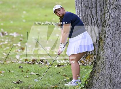 Thumbnail 1 in Delaware County Tournament photogallery.