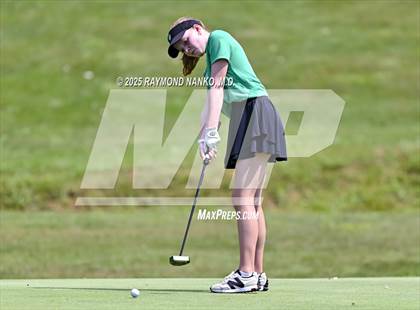 Thumbnail 2 in Delaware County Tournament photogallery.