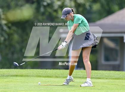 Thumbnail 2 in Delaware County Tournament photogallery.