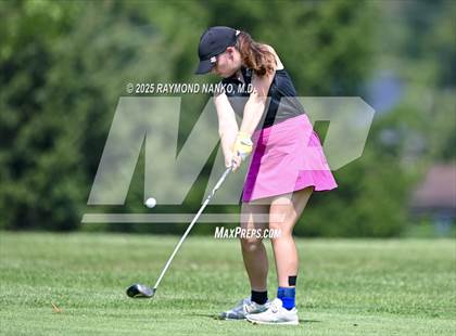 Thumbnail 3 in Delaware County Tournament photogallery.