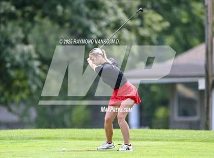 Thumbnail 2 in Delaware County Tournament photogallery.