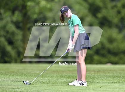 Thumbnail 1 in Delaware County Tournament photogallery.