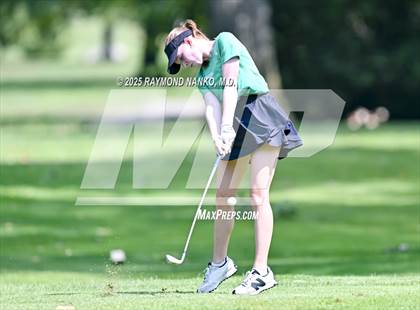 Thumbnail 2 in Delaware County Tournament photogallery.