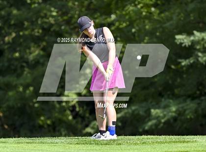 Thumbnail 2 in Delaware County Tournament photogallery.