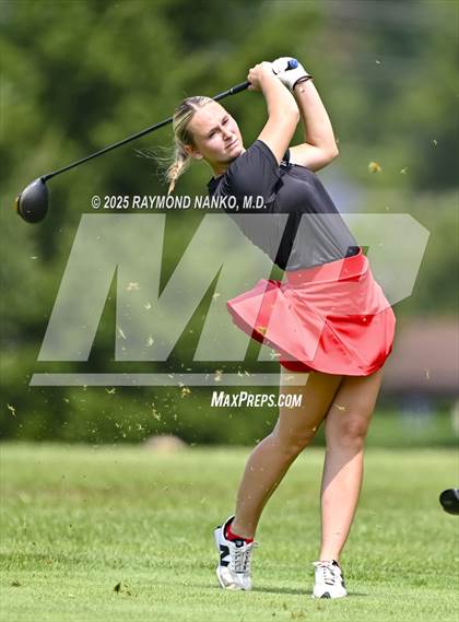Thumbnail 2 in Delaware County Tournament photogallery.
