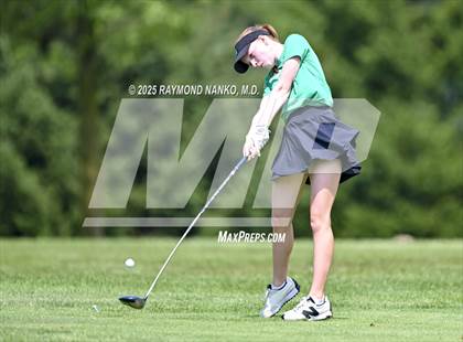 Thumbnail 2 in Delaware County Tournament photogallery.