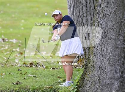 Thumbnail 3 in Delaware County Tournament photogallery.