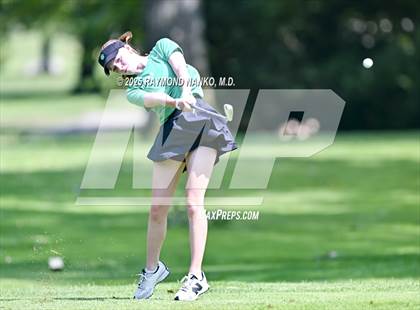 Thumbnail 3 in Delaware County Tournament photogallery.