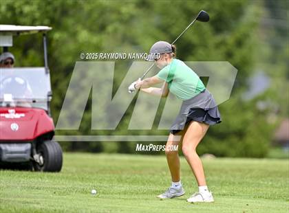 Thumbnail 3 in Delaware County Tournament photogallery.