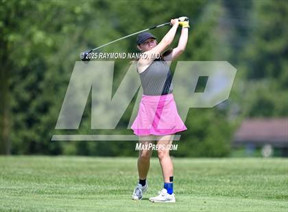 Thumbnail 2 in Delaware County Tournament photogallery.