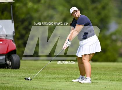 Thumbnail 3 in Delaware County Tournament photogallery.