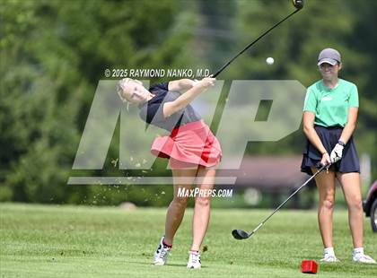 Thumbnail 1 in Delaware County Tournament photogallery.