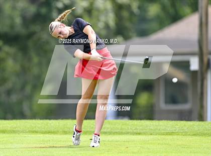 Thumbnail 2 in Delaware County Tournament photogallery.