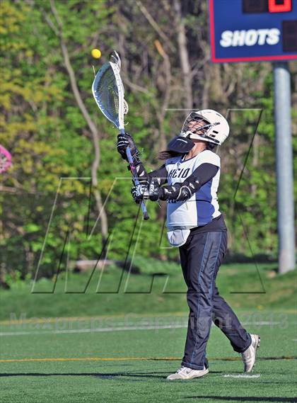 Thumbnail 1 in Blind Brook @ Keio photogallery.