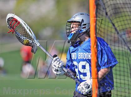 Thumbnail 2 in Blind Brook @ Keio photogallery.