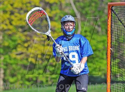 Thumbnail 1 in Blind Brook @ Keio photogallery.