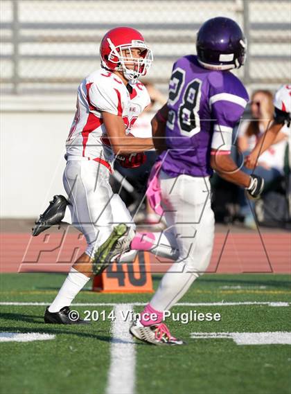 Thumbnail 3 in Burroughs @ Hoover photogallery.