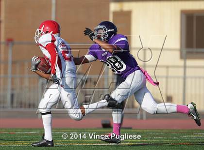 Thumbnail 1 in Burroughs @ Hoover photogallery.