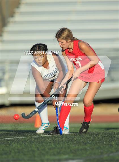 Thumbnail 1 in Chaparral vs Great Oak photogallery.
