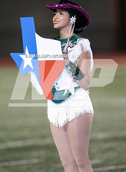 Thumbnail 1 in Wylie @ Naaman Forest photogallery.
