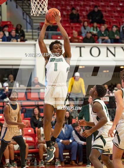 Thumbnail 1 in Baldwin vs Brentwood (NYSPHSAA Class AA Regional) photogallery.