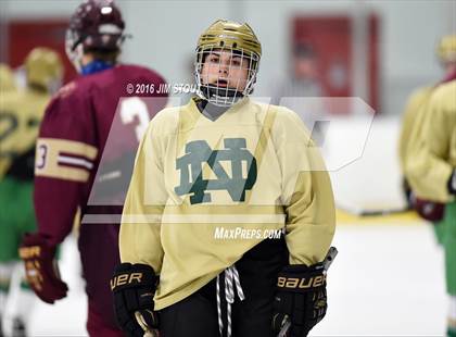 Thumbnail 1 in Iona Prep vs. Notre Dame-West Haven (Carrano Cup Quarterfinal) photogallery.