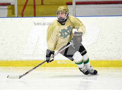 Thumbnail 1 in Iona Prep vs. Notre Dame-West Haven (Carrano Cup Quarterfinal) photogallery.