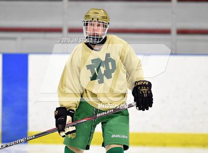 Thumbnail 3 in Iona Prep vs. Notre Dame-West Haven (Carrano Cup Quarterfinal) photogallery.