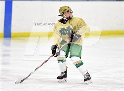 Thumbnail 1 in Iona Prep vs. Notre Dame-West Haven (Carrano Cup Quarterfinal) photogallery.